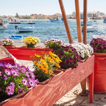 Alpesi faház Isola Bella - Affittimoderni *
